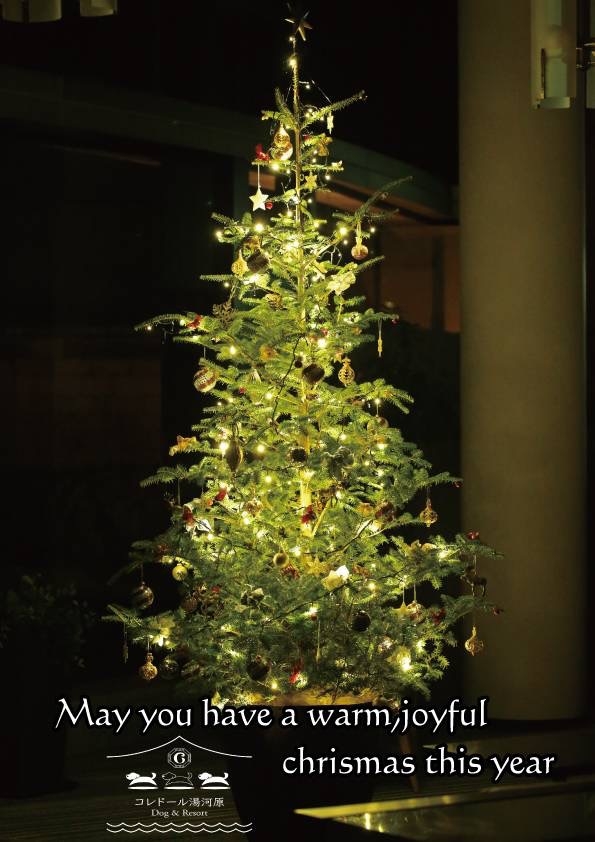 【Xmas限定プラン】ロッシーニ風＆スパークリングワインで乾杯　〜大切な家族と愛犬と過ごす特別な夜〜