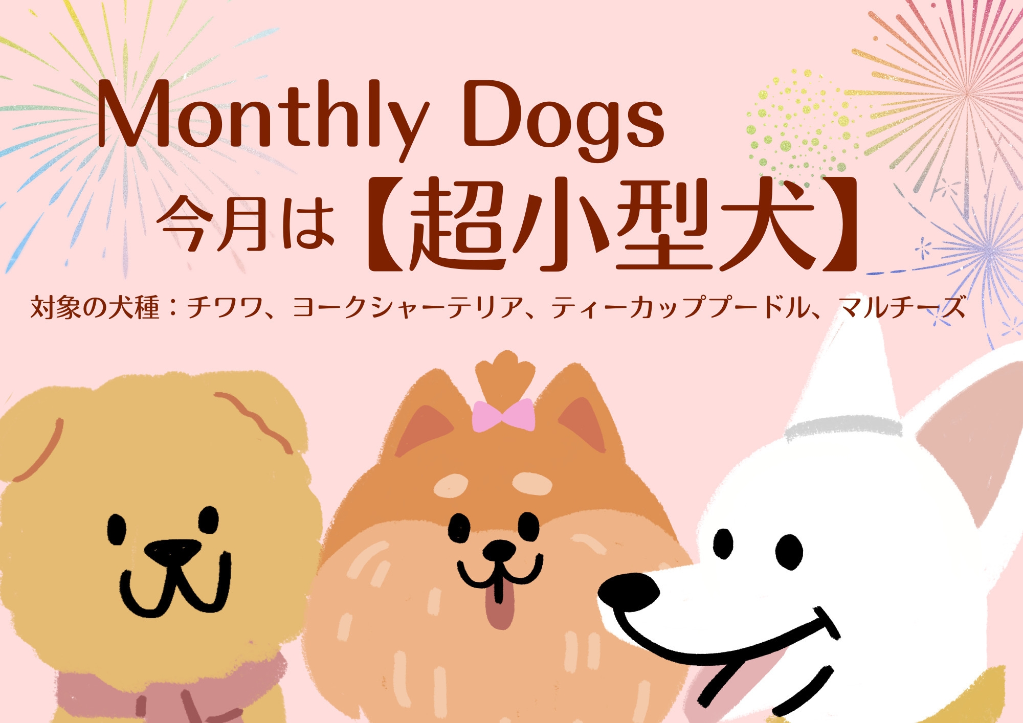 【超小型犬集まれ〜！　8月限定犬種別プラン】愛犬のご褒美　7大特典付き