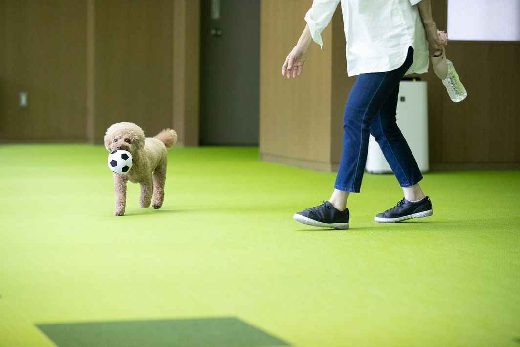 【少量吟味　セゾンコース】愛犬と一緒にフレンチのフルコースを愉しむ　寛ぎの空間と温泉で癒されて