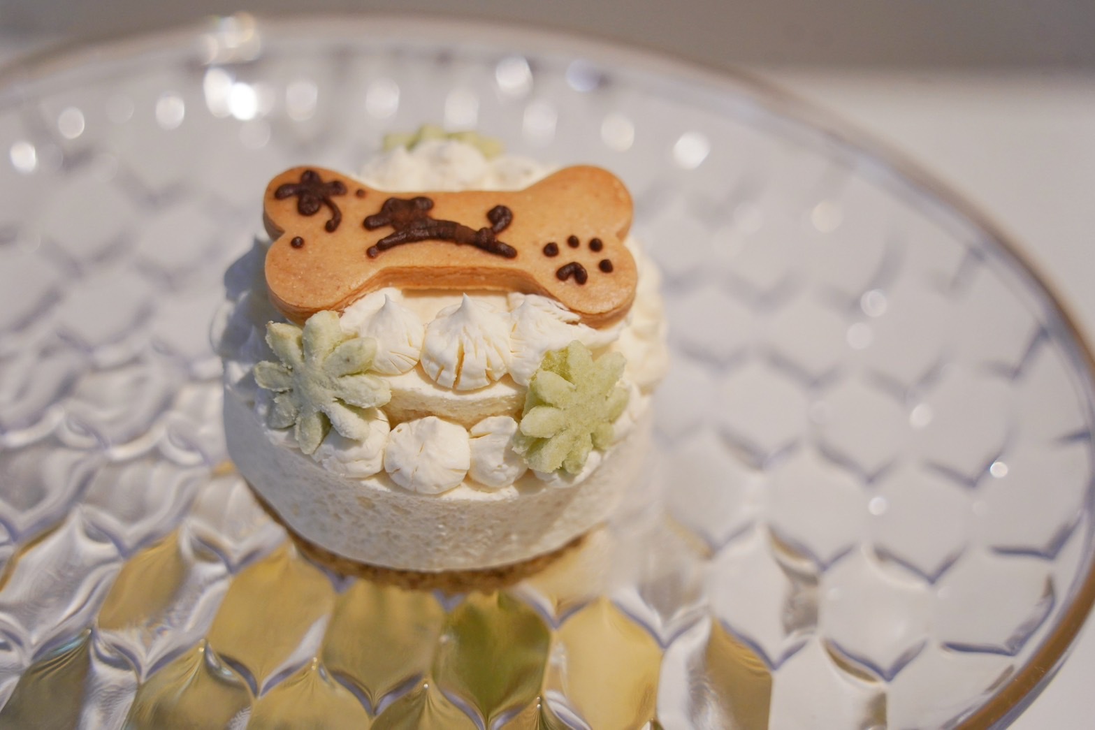 【ケーキプレートでお祝い♪】我が家へようこそ！〜うちの子アニバーサリープラン〜