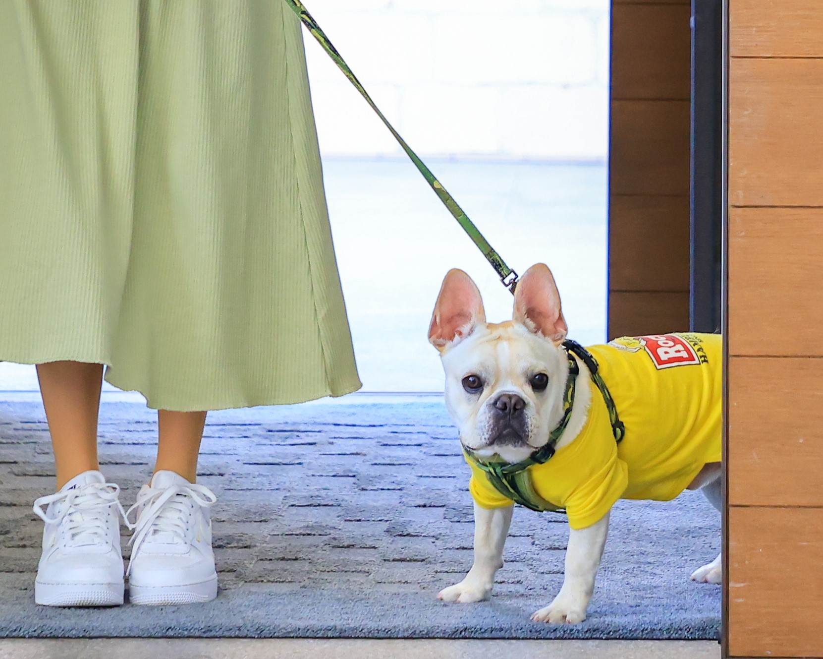 【ONE plus ワン旅】愛犬と気ままな1人旅　安心のお預かりサービスも♪