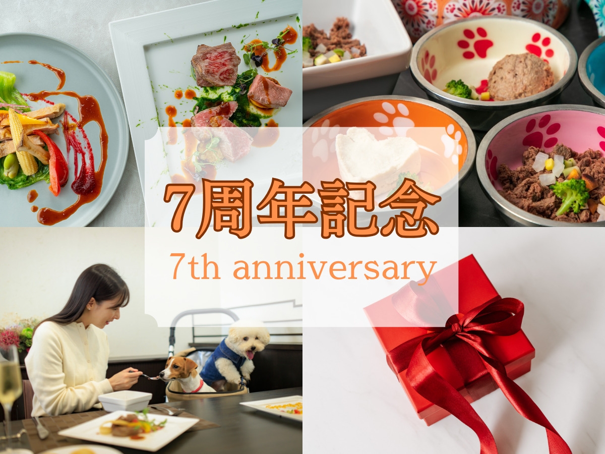 【7周年記念プラン　第2弾！】皆様へ感謝を込めて　 〜お料理アップグレードサービス＆愛犬のお食事付〜