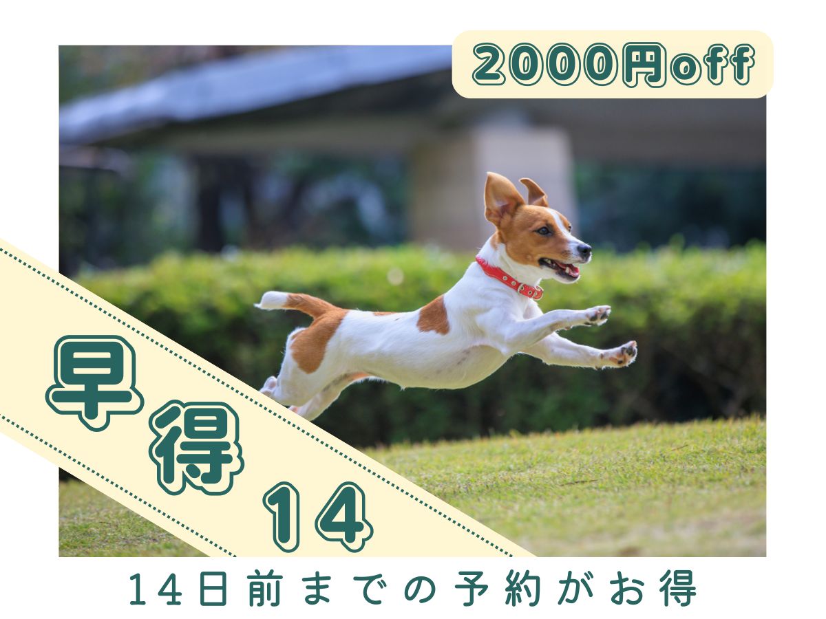 早得14　早めの予約でお得にご宿泊♪