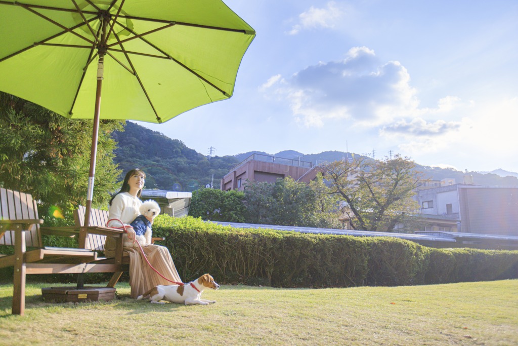 芝生ドッグラン　ご利用風景