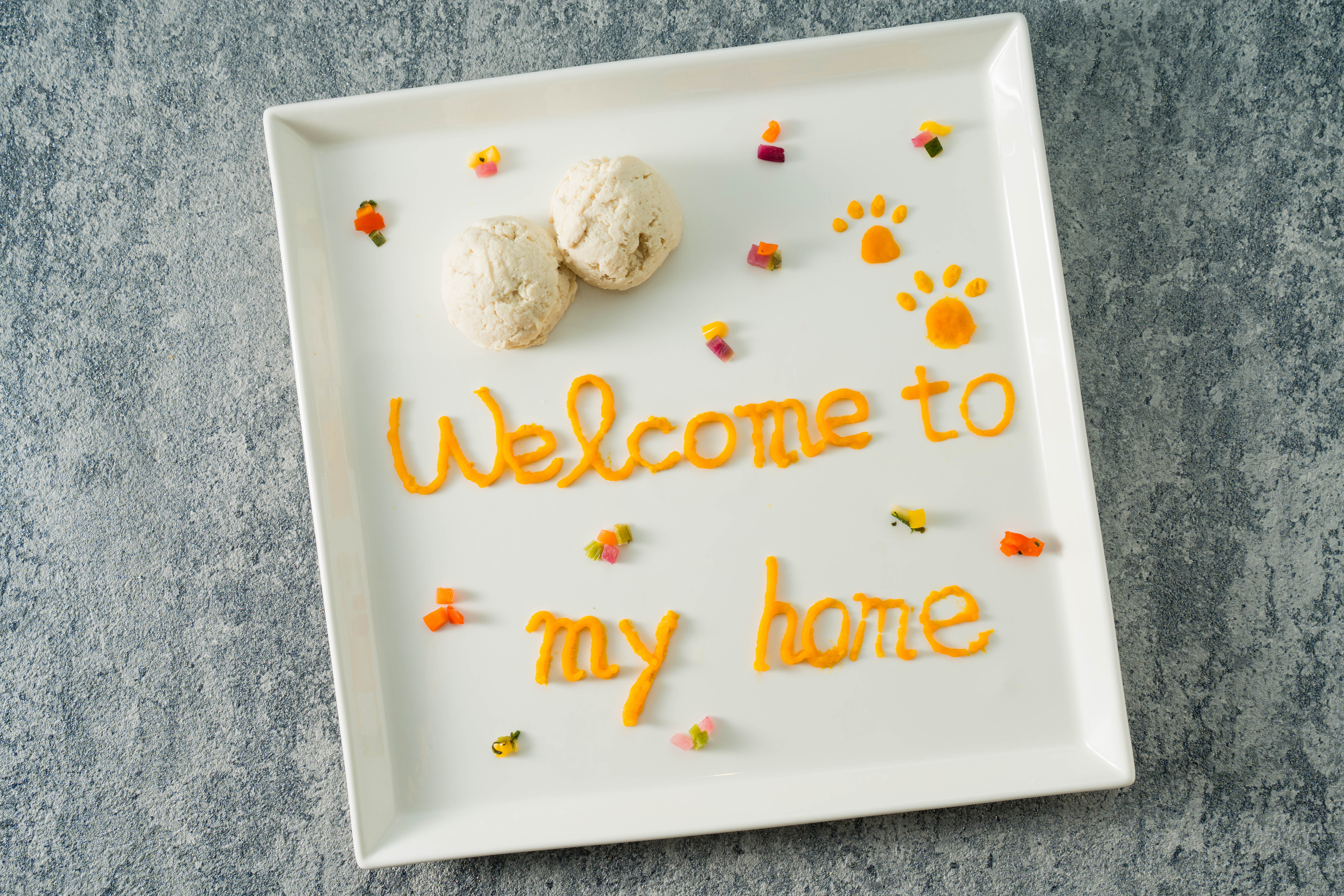 【我が家へようこそ！うちの子記念日プラン】