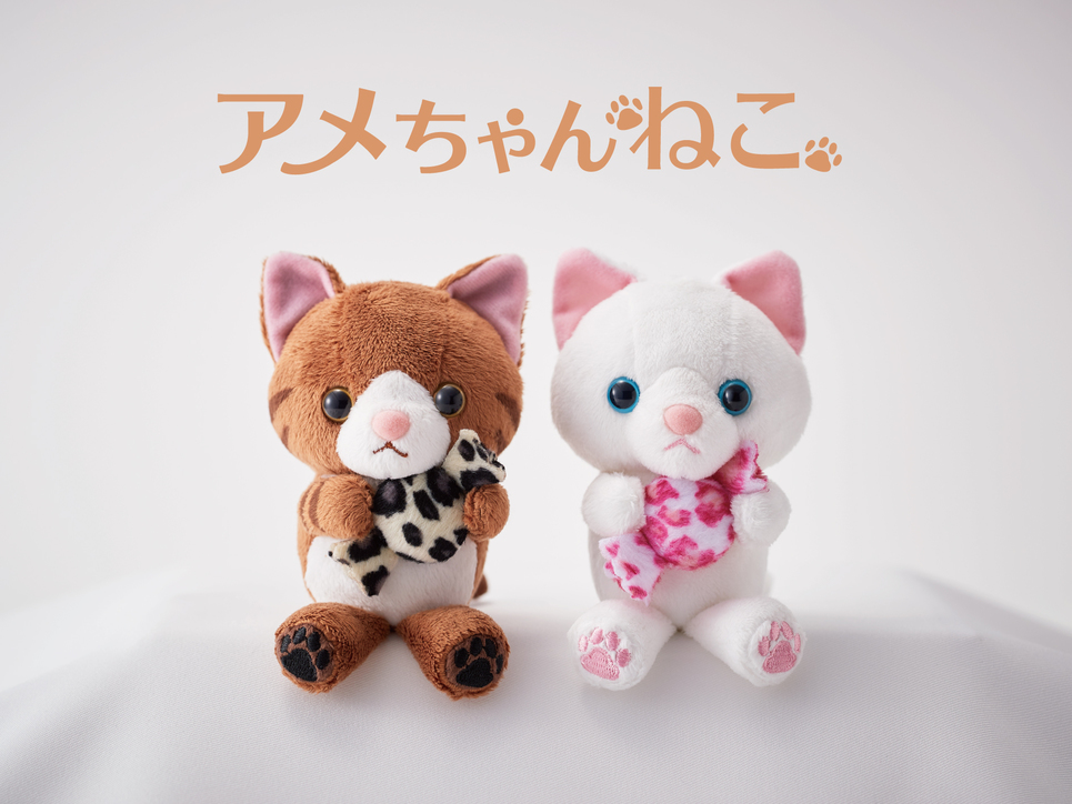 【キジトラ＆白ねこ登場！】アメちゃんねこ付宿泊プラン