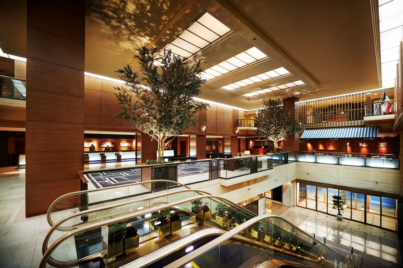 【GODIVA STAY】バレンタイン アリスのティーパーティ コレクション／素泊まり