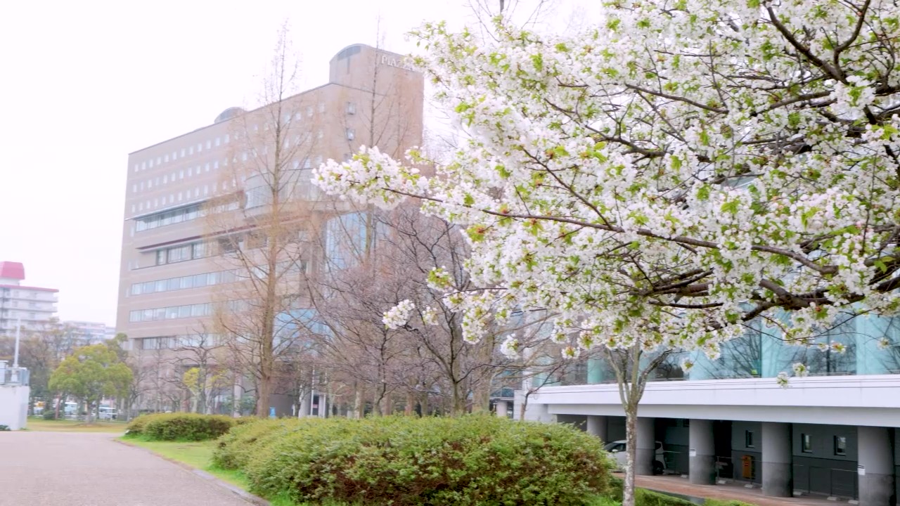 春は桜、秋は紅葉。季節の移ろいを愛でることができる。