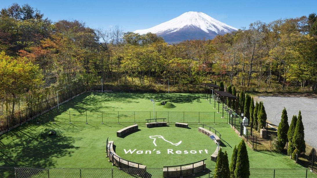 【秋冬SALE】≪スタンダード本格「フレンチ」プラン≫山中湖で甲州の恵みを味わう