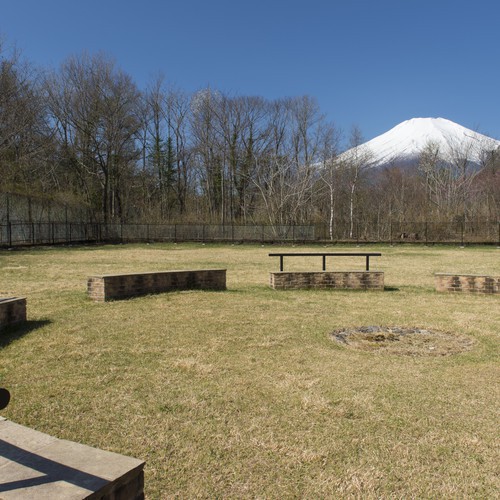 写真7