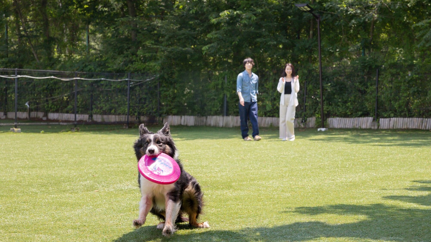 【直前割】【素泊まり】山中湖で愛犬と過ごす自由なシンプルステイ＜愛犬同伴歓迎＞