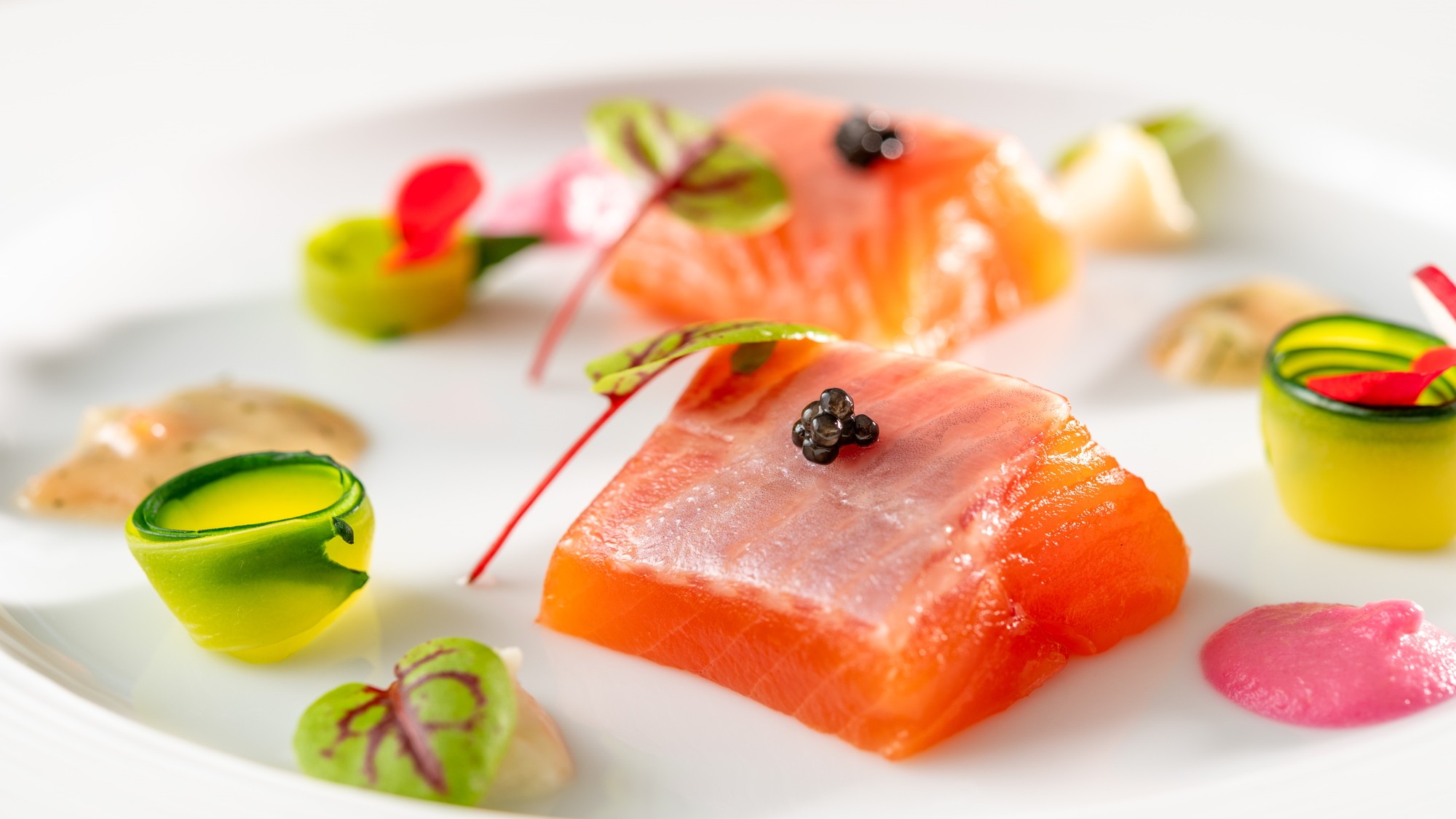 【特選フレンチ(2026春)】甲斐サーモンのマリネ