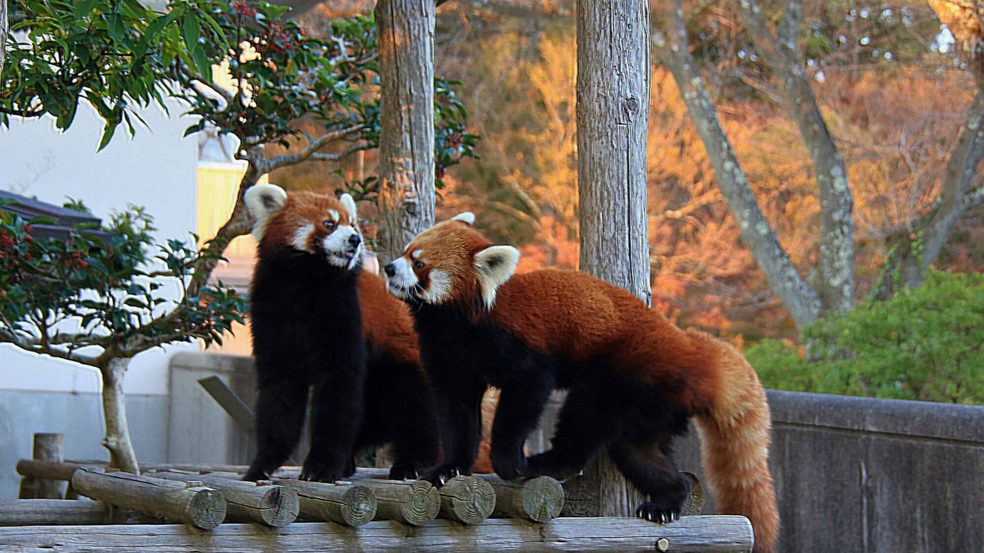 【スタンダード〇素泊まり】プラン選びに迷ったらコレ！西山公園＆動物園への好アクセス◎観光拠点に