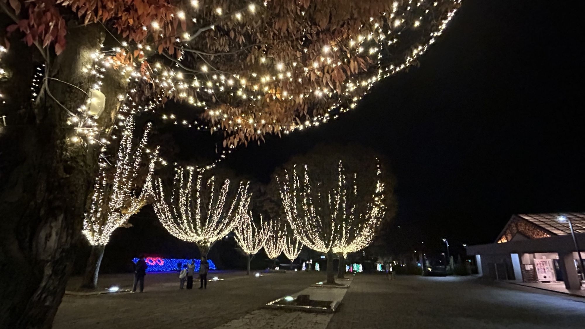 【冬旅応援☆ウィンターセール＜素泊まり＞】ウェルカムドリンク特典付！お食事なしでお手軽♪ビジネスにも