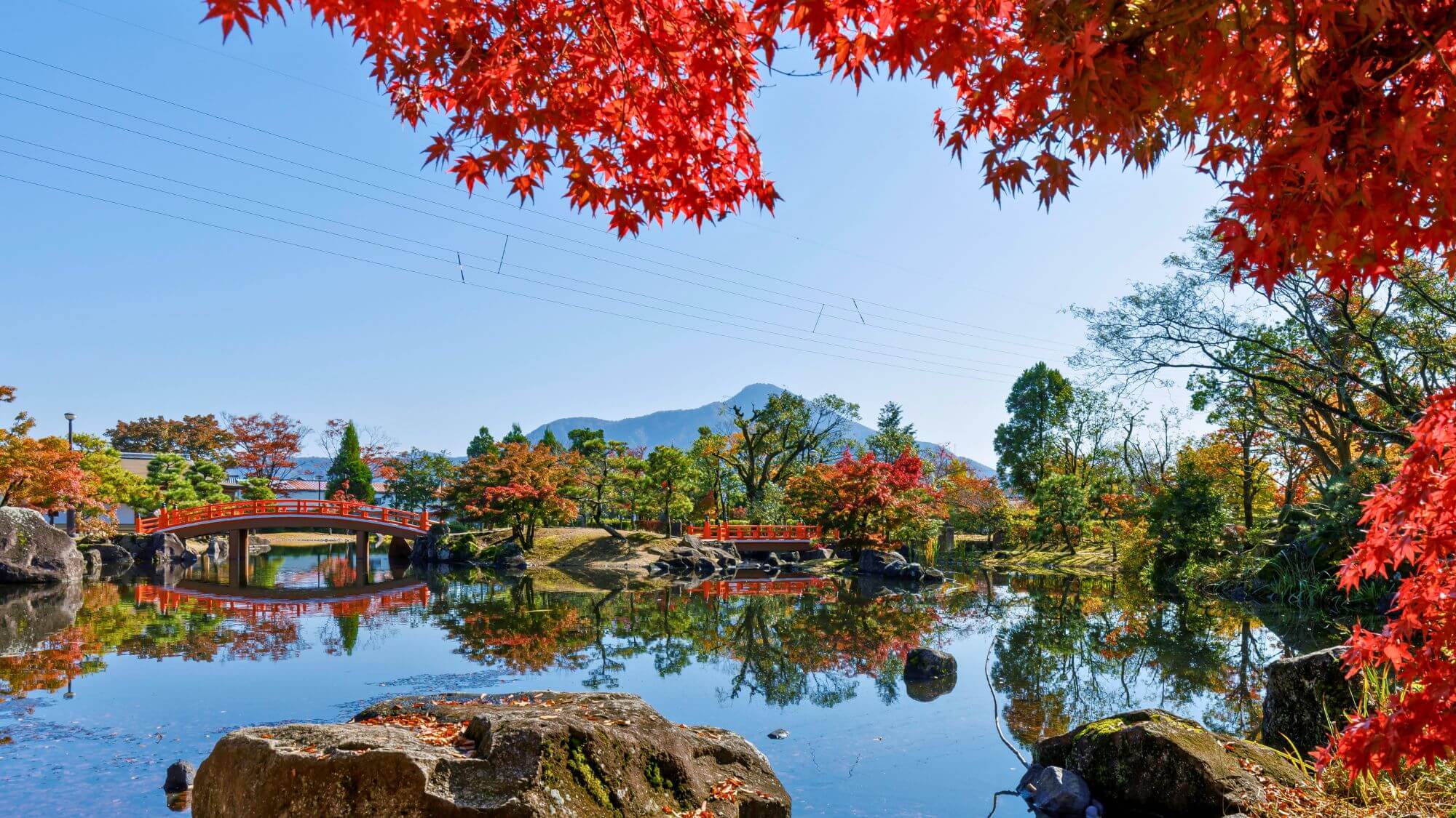 【紫式部公園】秋は園内のカエデやモミジ、イチョウなどの木々が紅葉し、まるで錦絵のような美しさ。