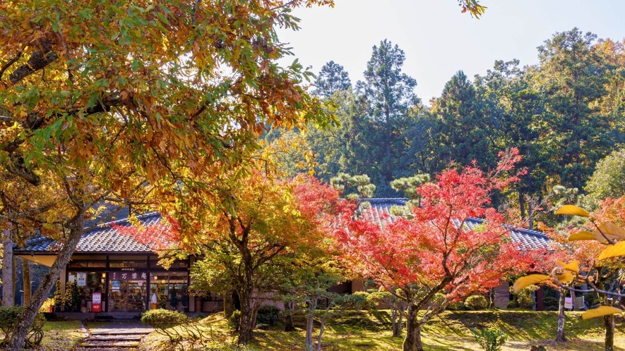 【万葉の里　味真野苑】秋の紅葉シーズンには、紅葉と万葉の情緒を楽しめる人気の観光スポットです。