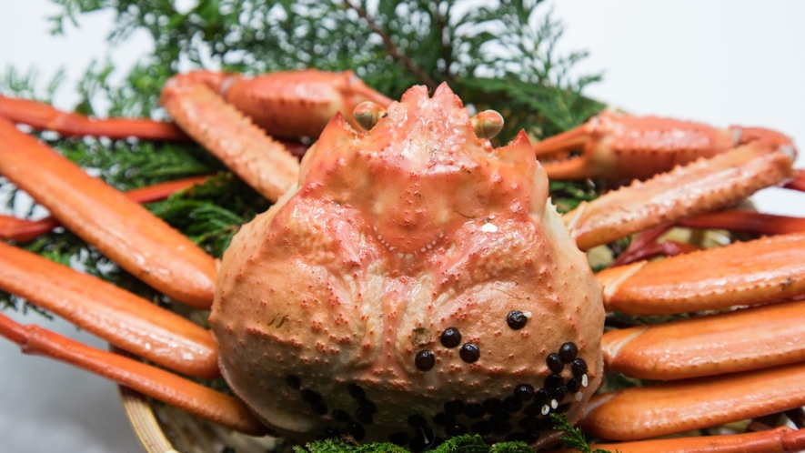 福井の冬の定番！ずわい蟹を丸ごと１杯楽しめる「蟹付会席コース」