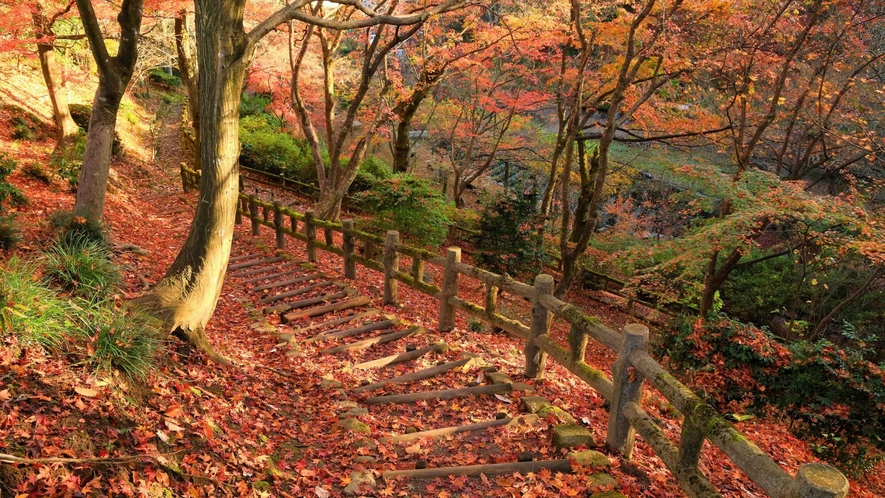【西山公園】「日本の歴史公園100選」に認定される景勝地。約1600本のモミジが鮮やかに色づきます