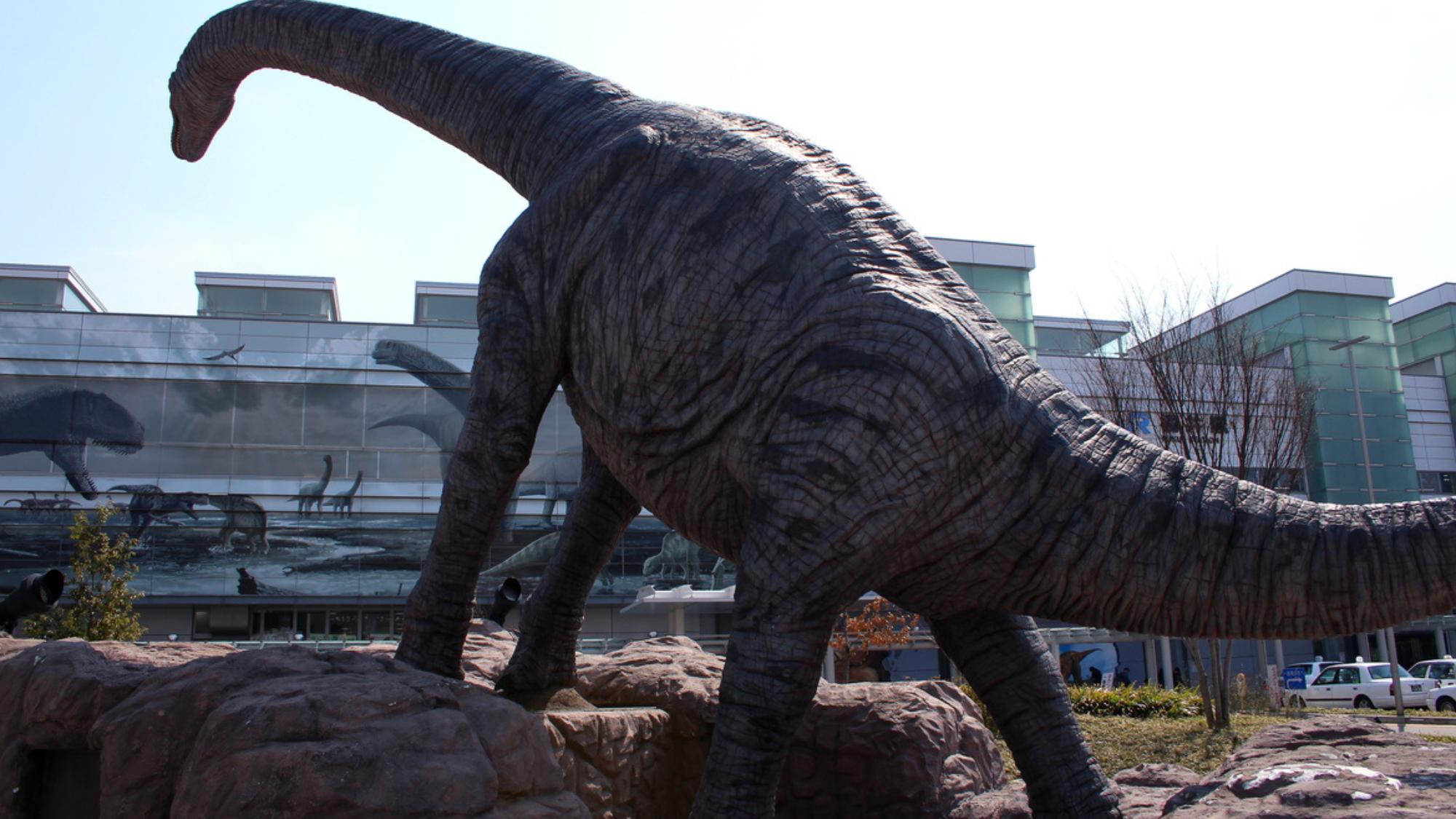 【福井県の中心地　福井駅】恐竜の化石が数多く発見されている福井県の中心地福井駅でも恐竜に会えます！