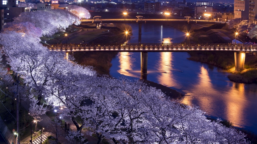 【足羽川　桜並木】毎年3月下旬から4月上旬までライトアップ開催！