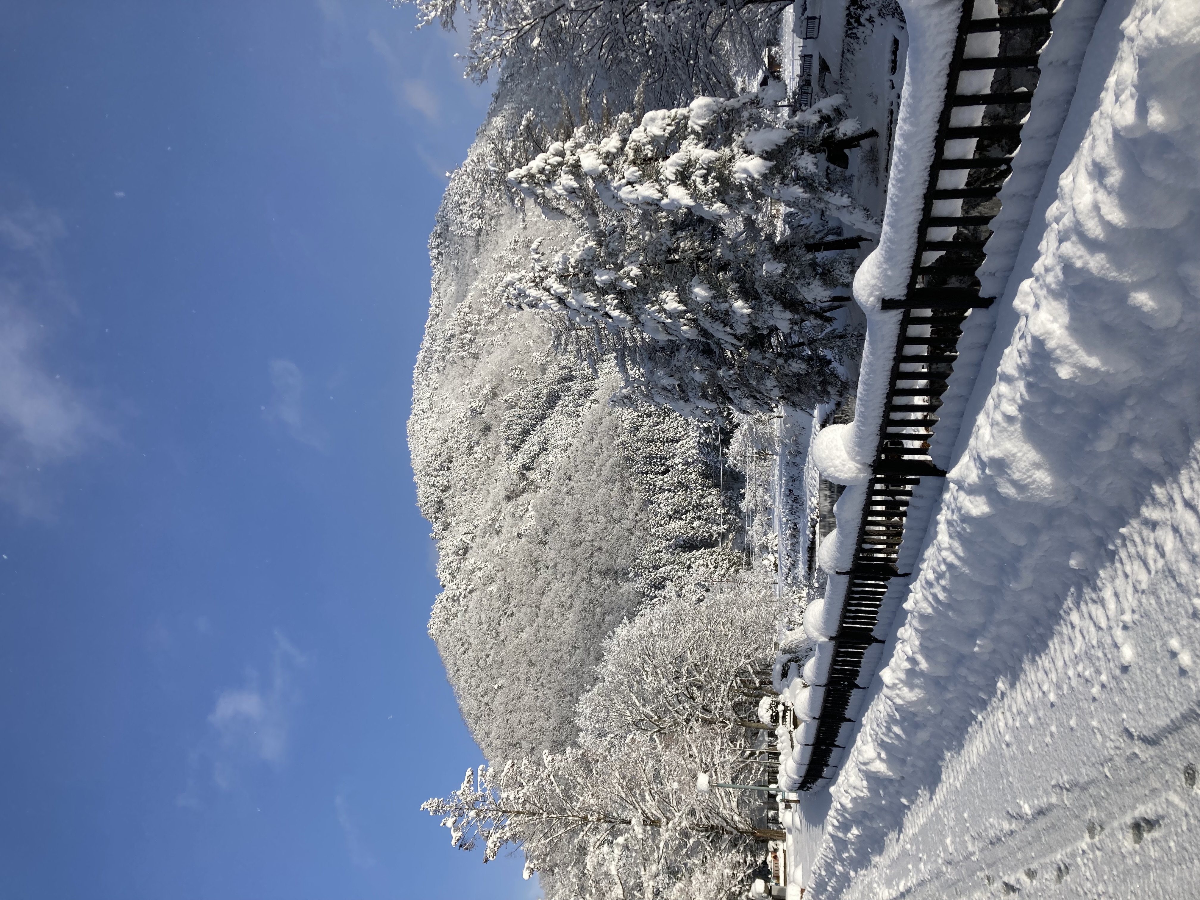 雪景色