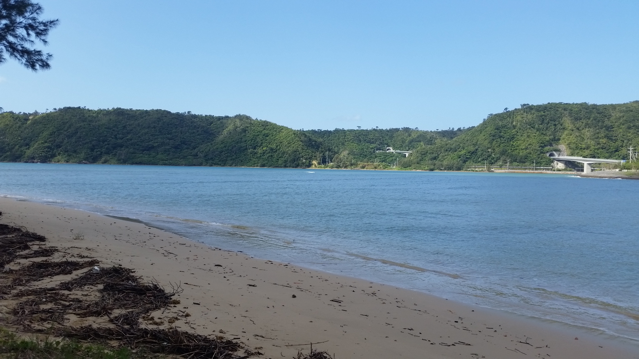 徒歩10秒で行ける海