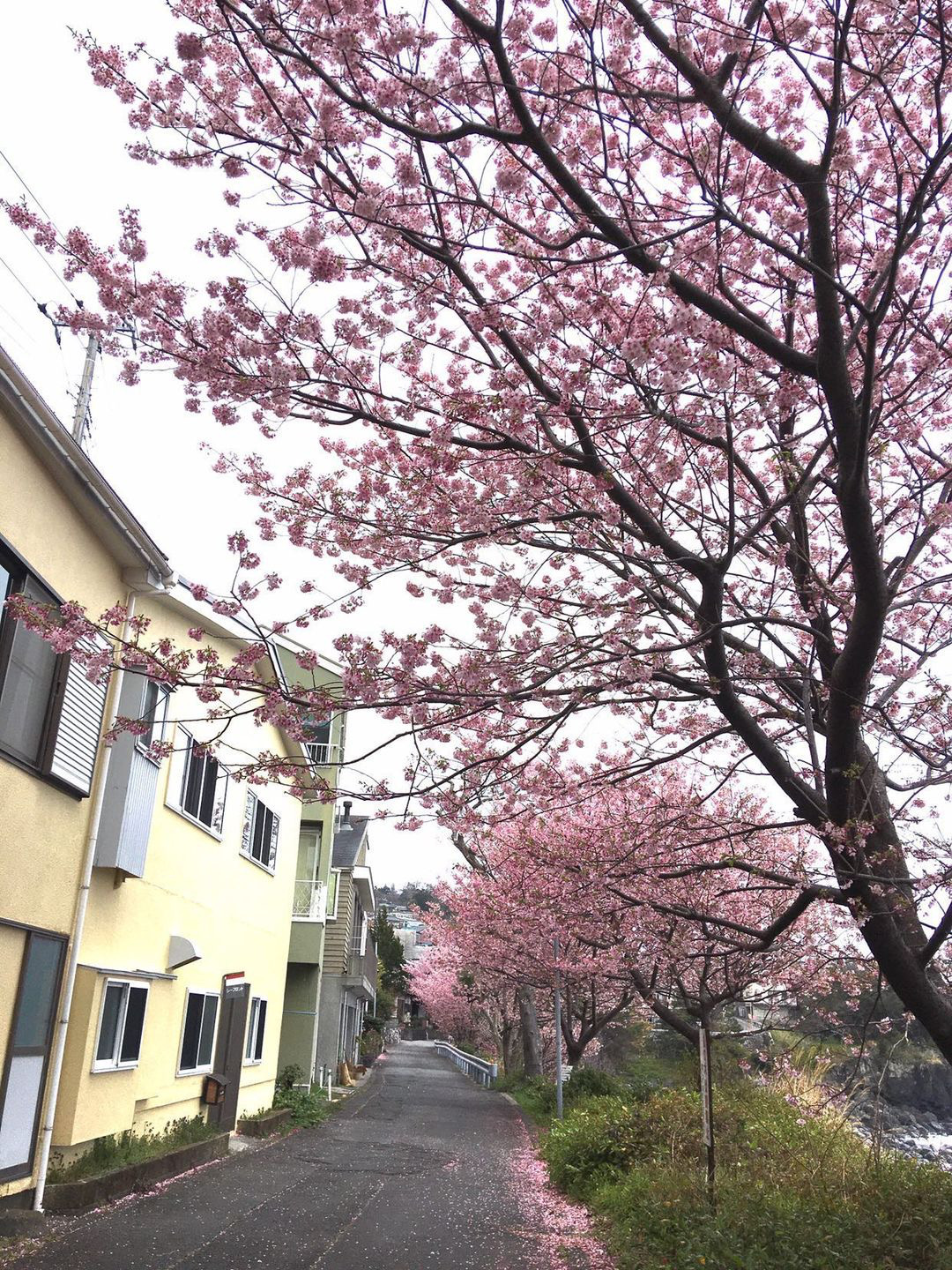 3月上旬は窓からは波が楽しめます