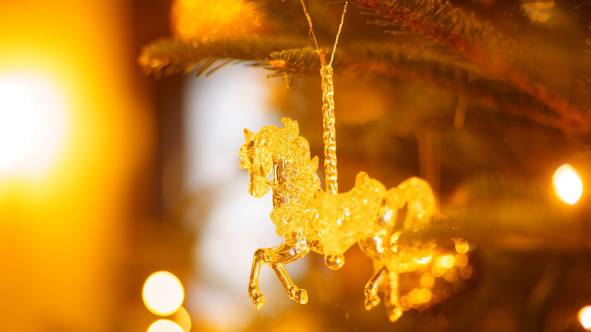 【12/19-25限定】クリスマスディナー＆乾杯カクテル付◆特別な日を彩るフレンチコース