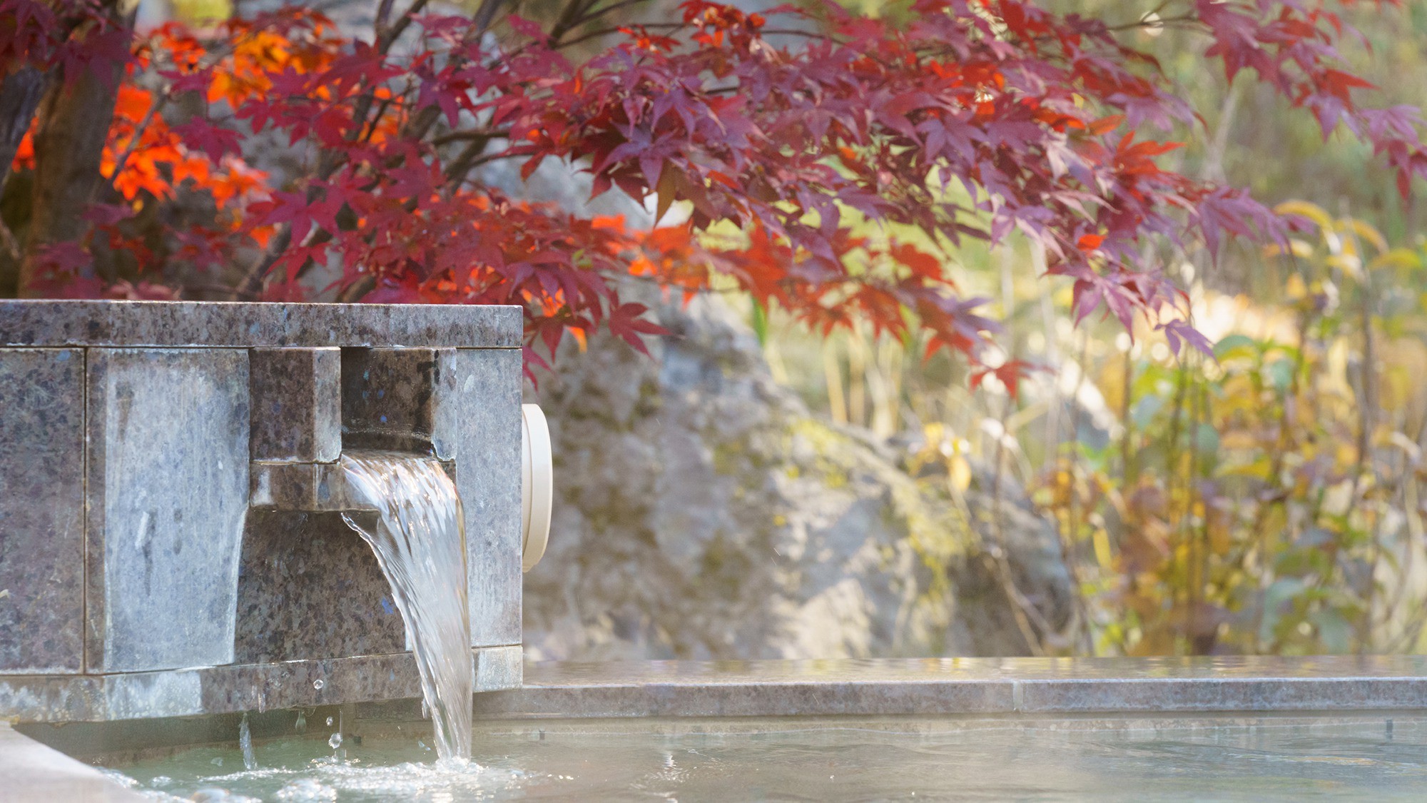 日帰り温泉（ご宿泊様無料）／紅葉の八風温泉／美しい紅葉と澄んだ空気を感じられる天然温泉露天風呂