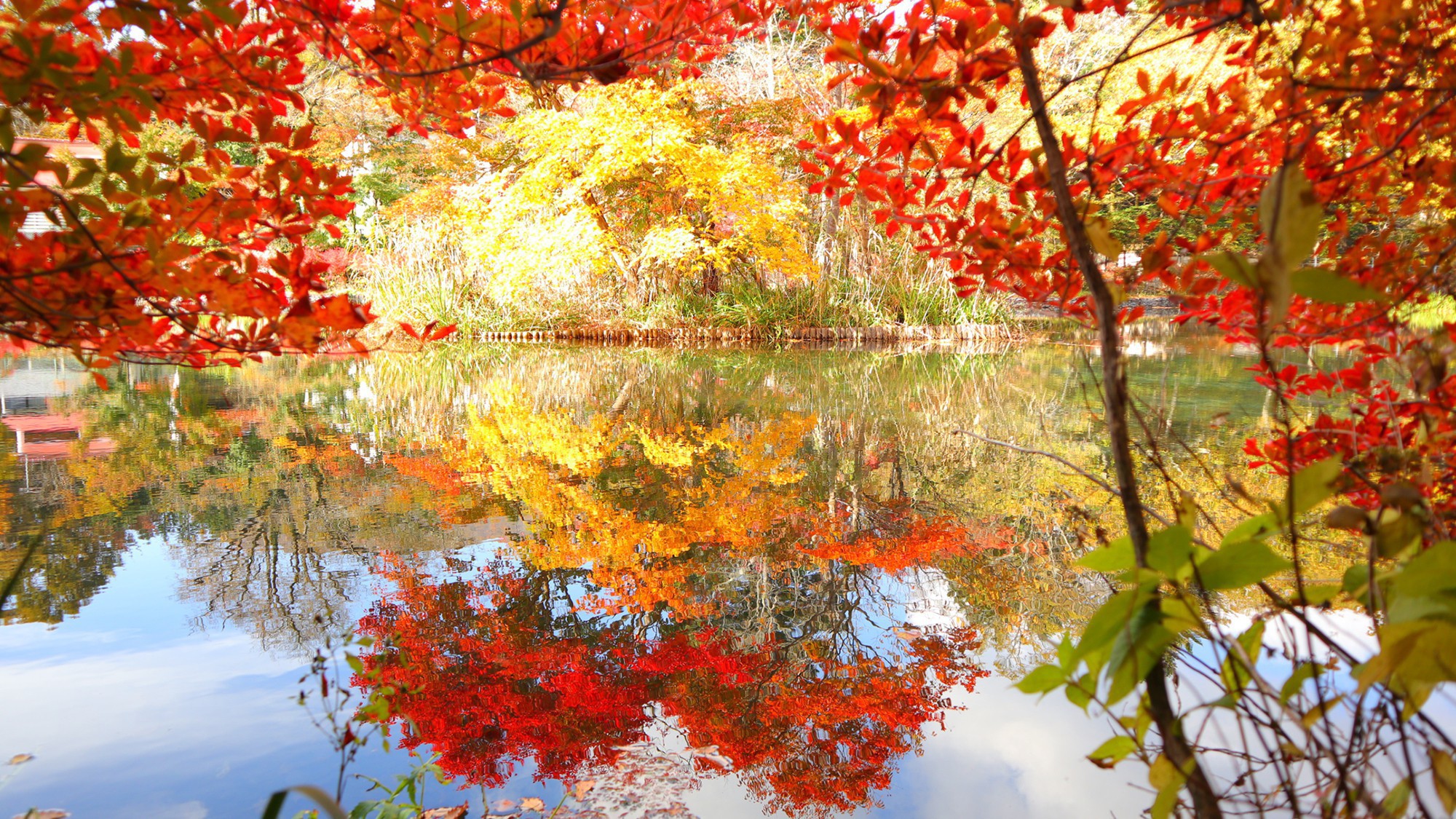 雲場池／当ホテルより車で約14分／秋は湖面を染める美しい秋の朱色と爽やかな空の青が最大の魅力。