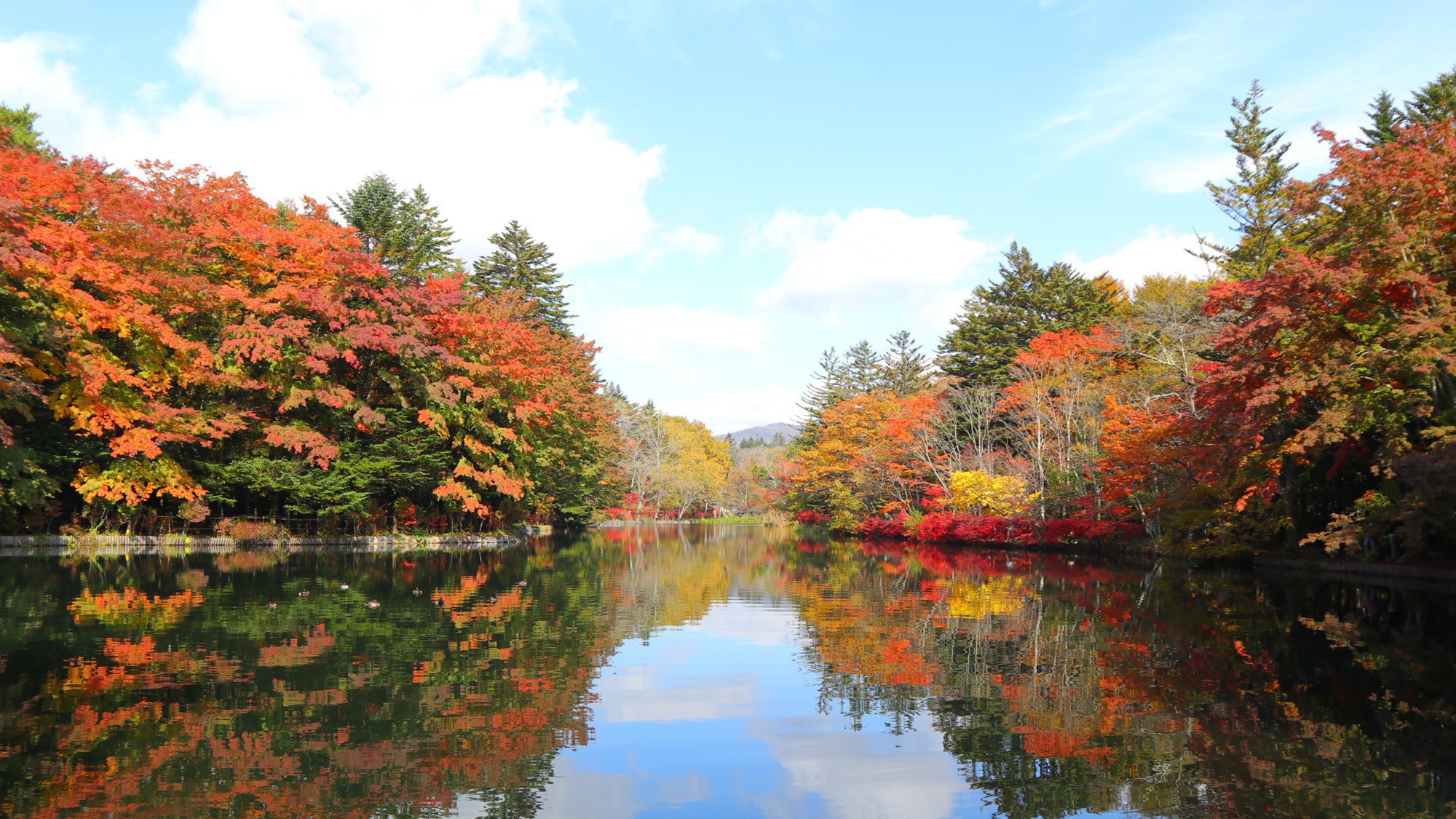 雲場池／湖面に映る四季折々の自然が美しい軽井沢の必見の名所。秋の紅葉は特におすすめ。