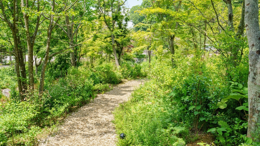 遊歩道・小川／お部屋で寛いだ後は、敷地内を散策してみましょう。自然の緑や心地よい風でリフレッシュ