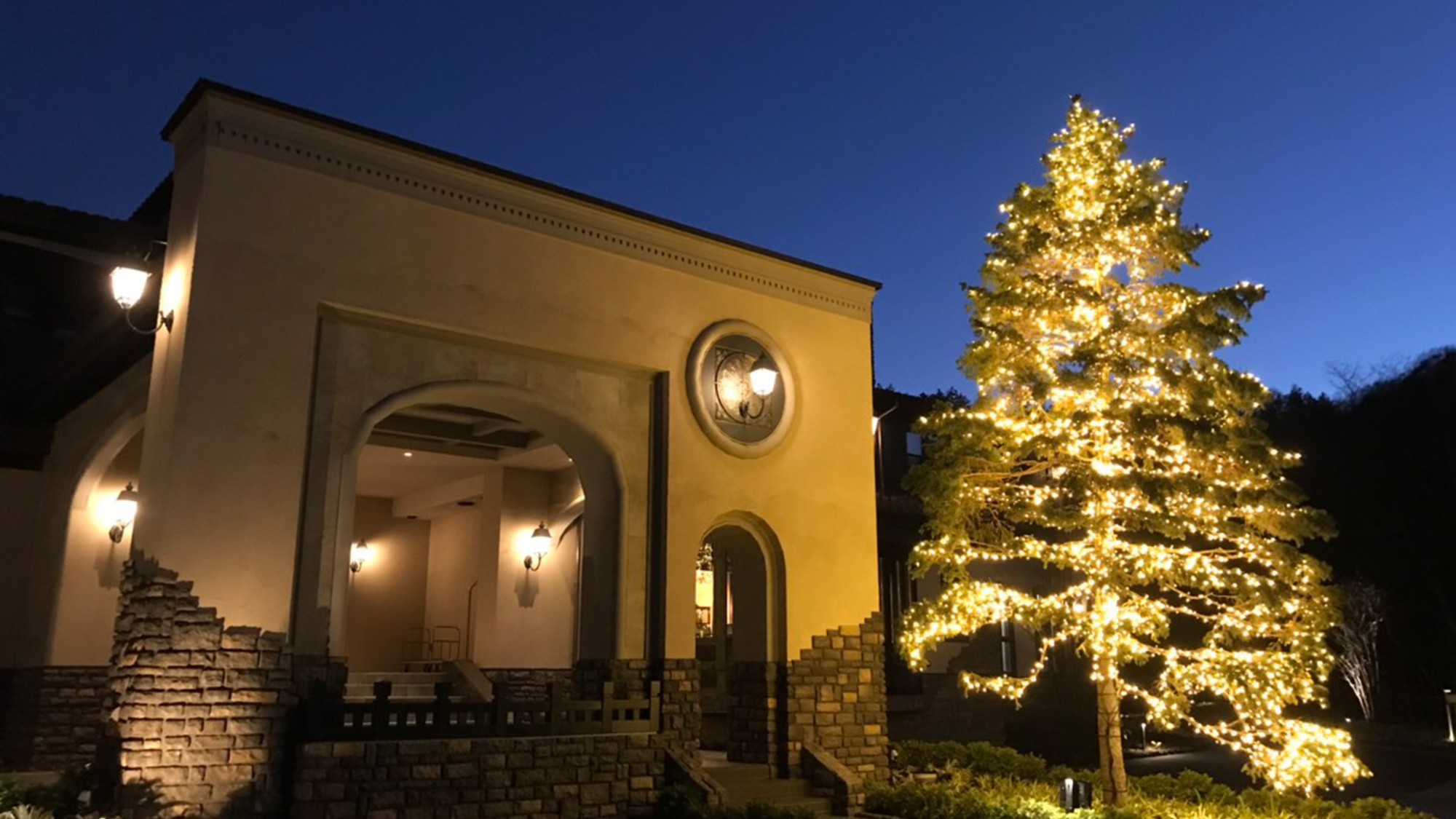 本館／外観／清閑な冬夜の軽井沢に、見上げる程のクリスマスツリー。その佇まいは息を呑む美しさ