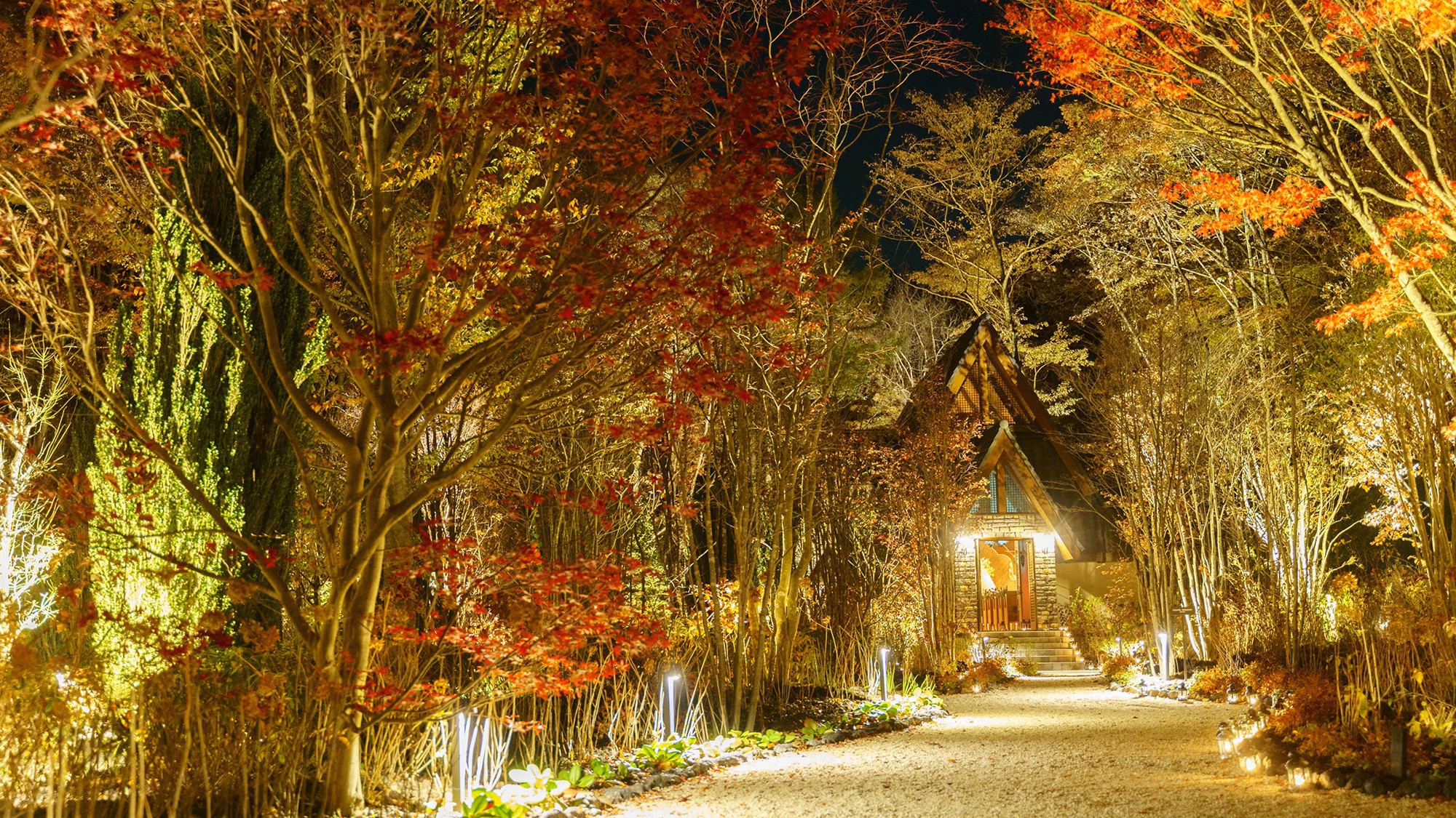 本館／庭／軽井沢らしく自然溢れる庭も、秋は綺麗に紅葉します。庭園散策しながらの紅葉狩りもおすすめです