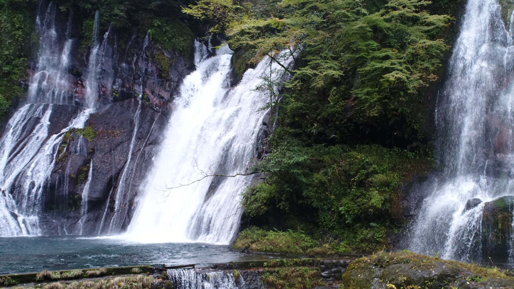 名水　白水の滝