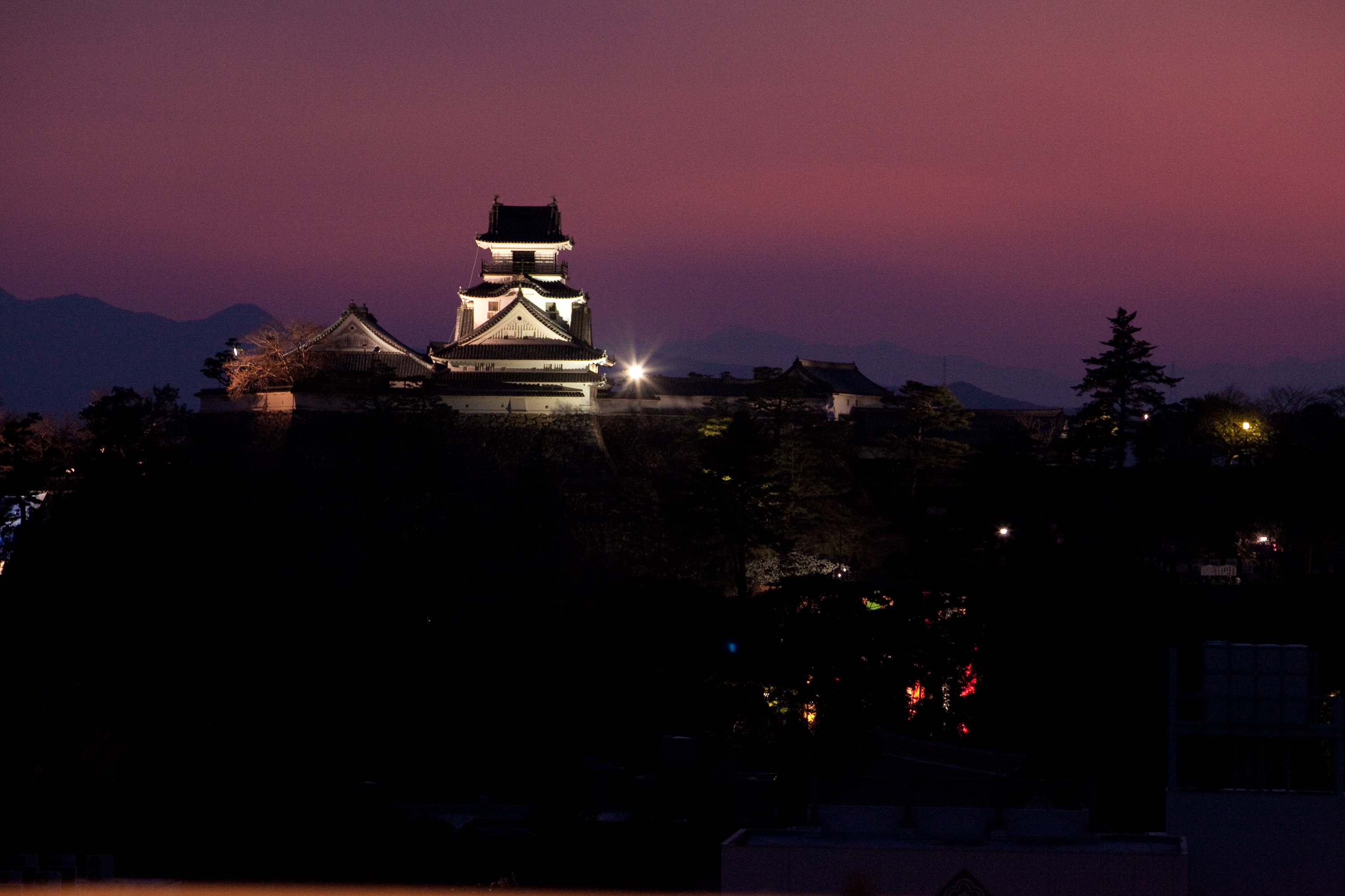高知城を望む