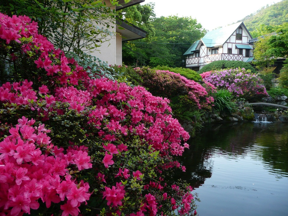 【食事なし】素泊まり！バストイレ付客室＆ウエルカムドリンク付き　※食事無※