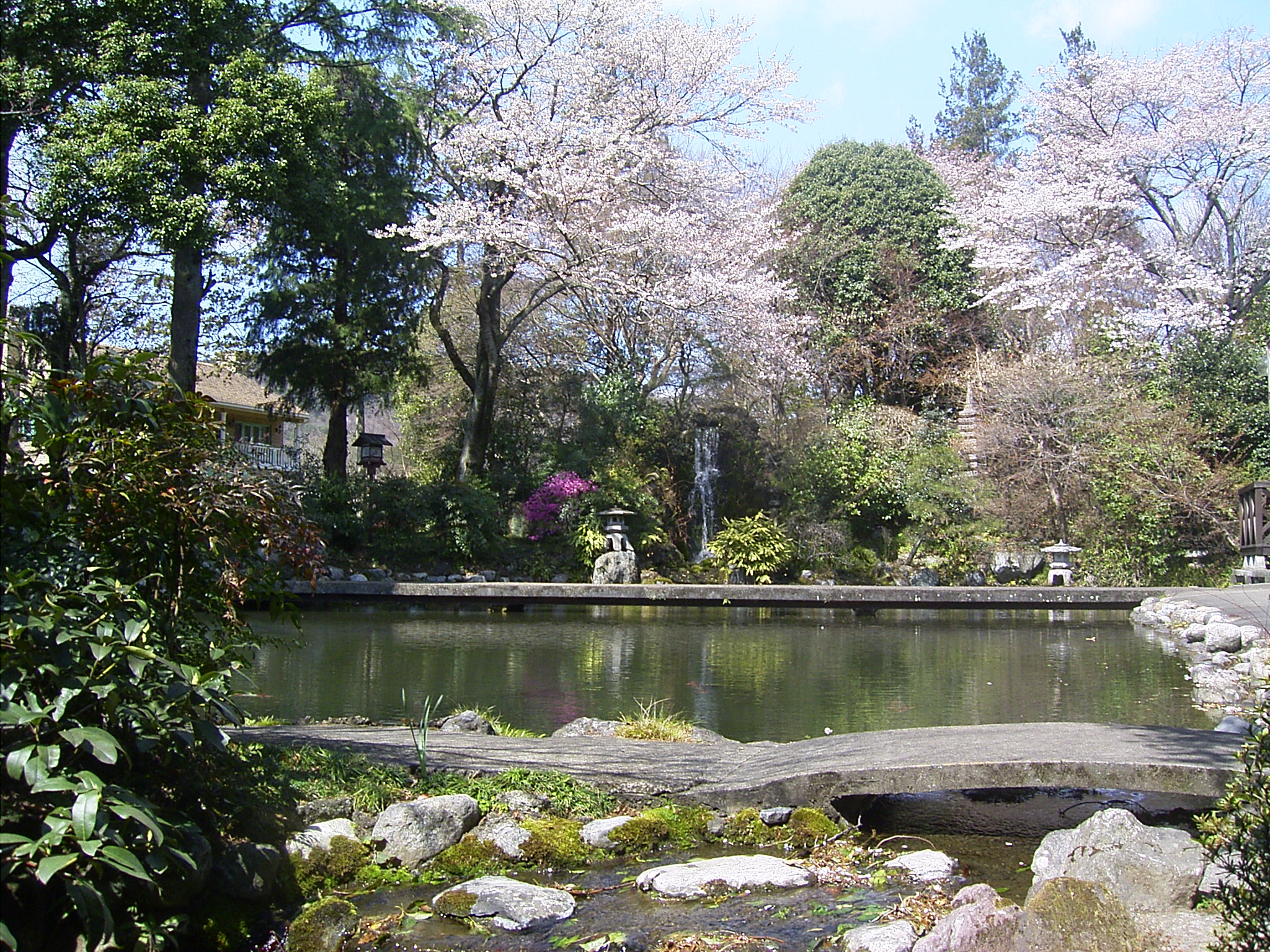 三千坪の日本庭園【春】