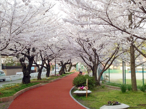 【山王公園】徒歩で10分！うるおいと安らぎのある緑豊かな公園でお散歩してみてはいかがでしょうか。