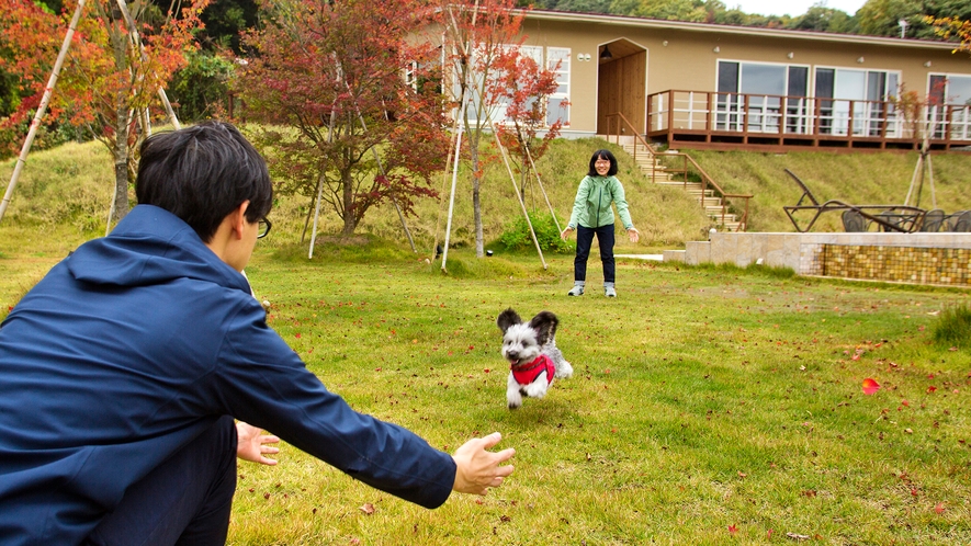 【スイートDOG】ペット滞在イメージ