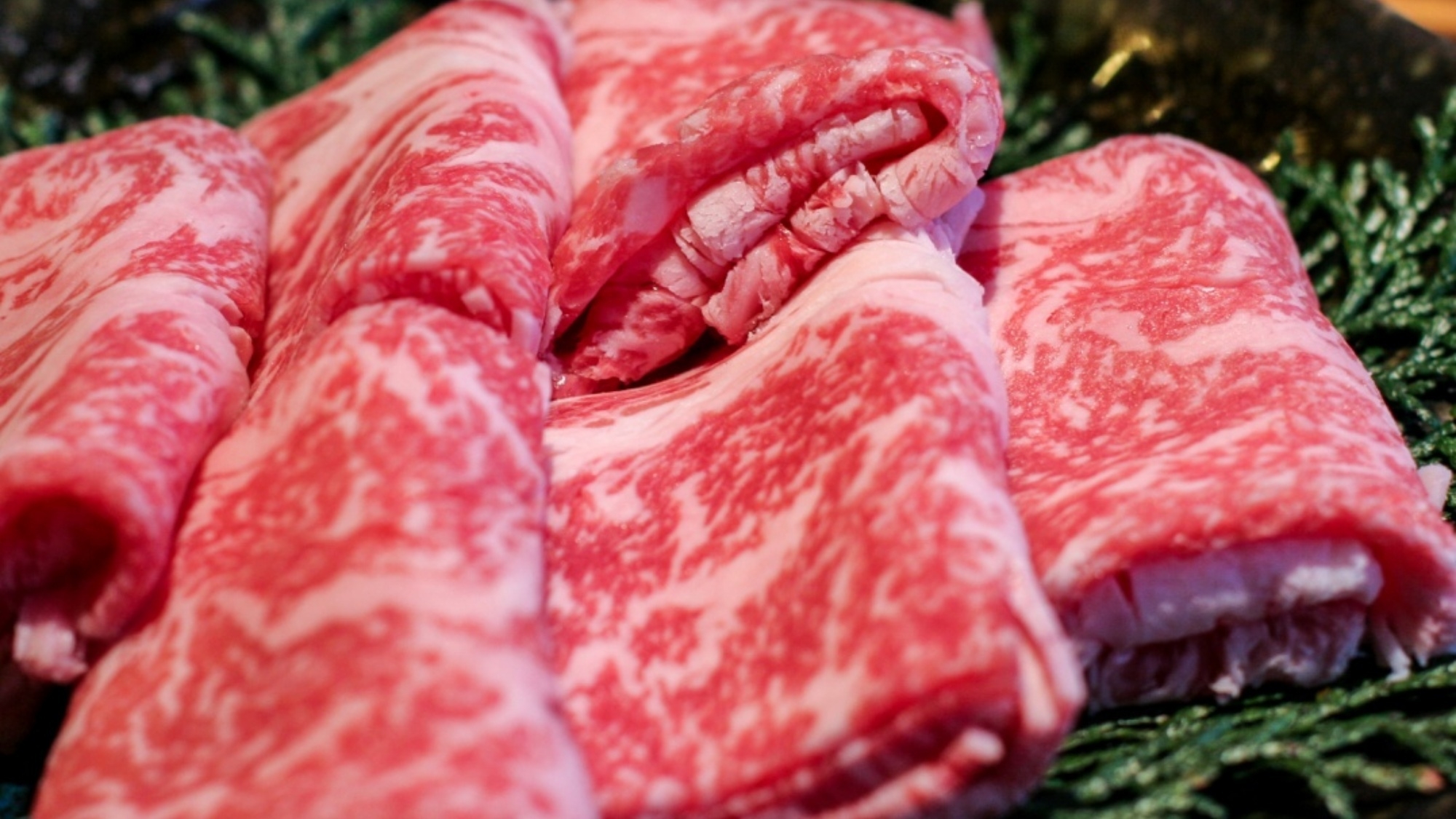【豊後コース】海辺で味わう豊後の恵み。「美味い！」を詰め込んだ贅沢豊後プラン（2食付）