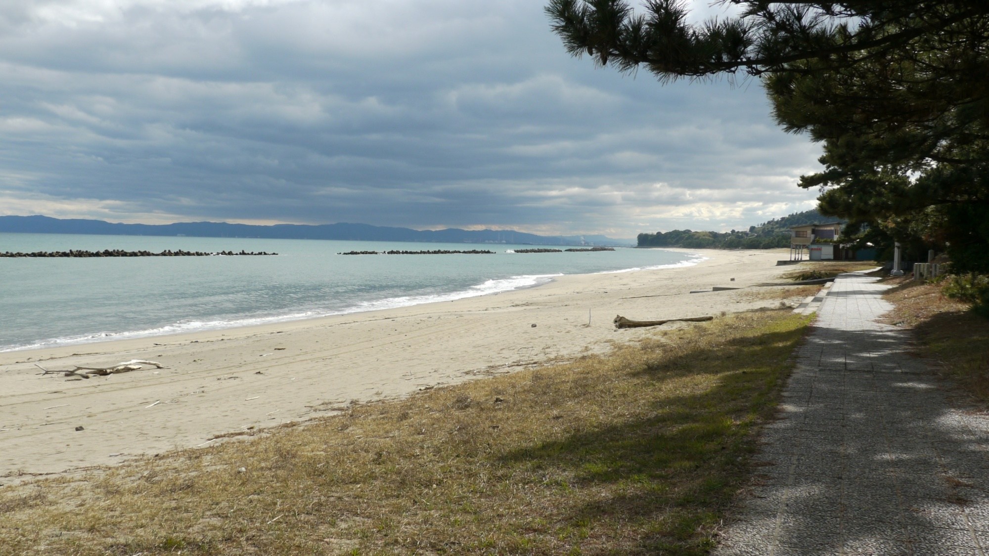 【奈多海岸】南北約2kmに渡って続く砂浜に見事な枝ぶりのクロマツが並ぶ･･･当館から車で25分