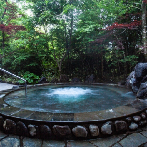 【GW限定】薩摩魂がこもったご当地グルメと自慢の温泉を満喫〈黒豚だししゃぶ会席〉