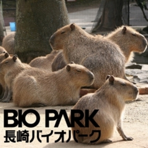 長崎Bio Park1
