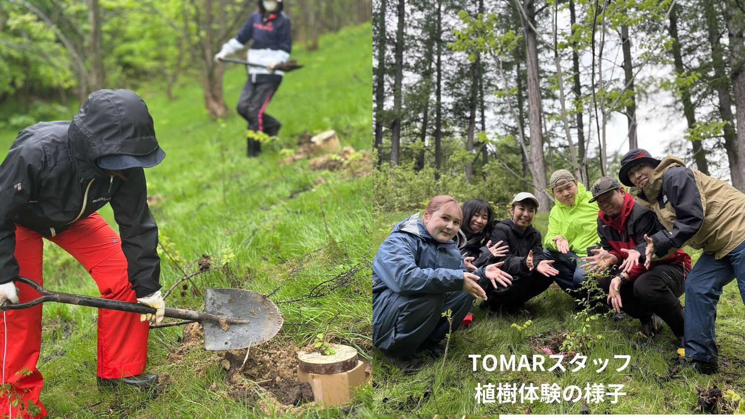 【植樹体験付プラン】富良野の自然を感じるサスティナブルステイ　　おまかせ個室1名利用