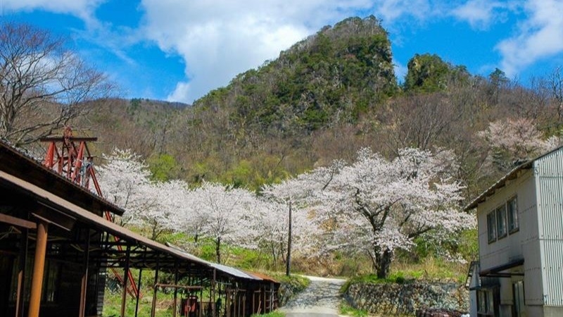 佐渡の恵みセレクト付きプラン -「佐渡島の金山」 世界文化遺産の島＜素泊まり＞