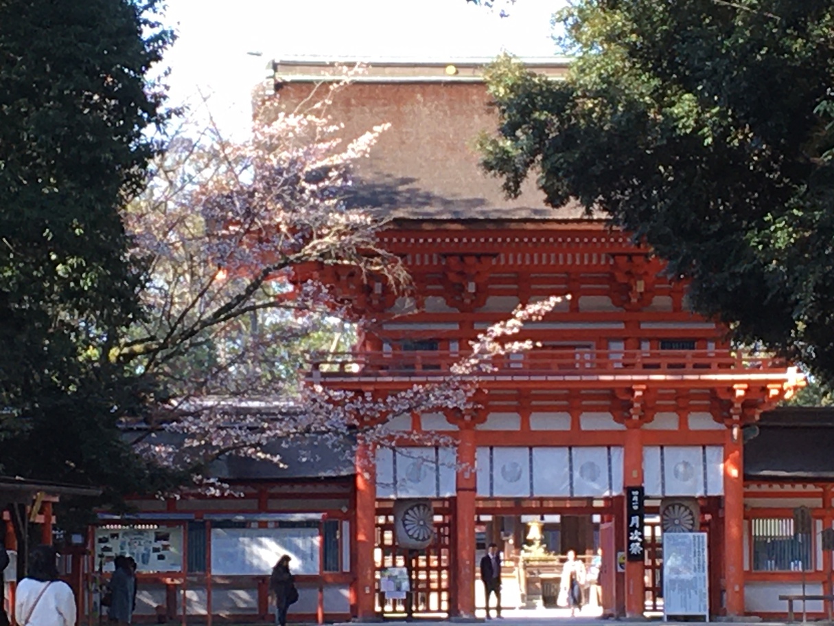 写真2