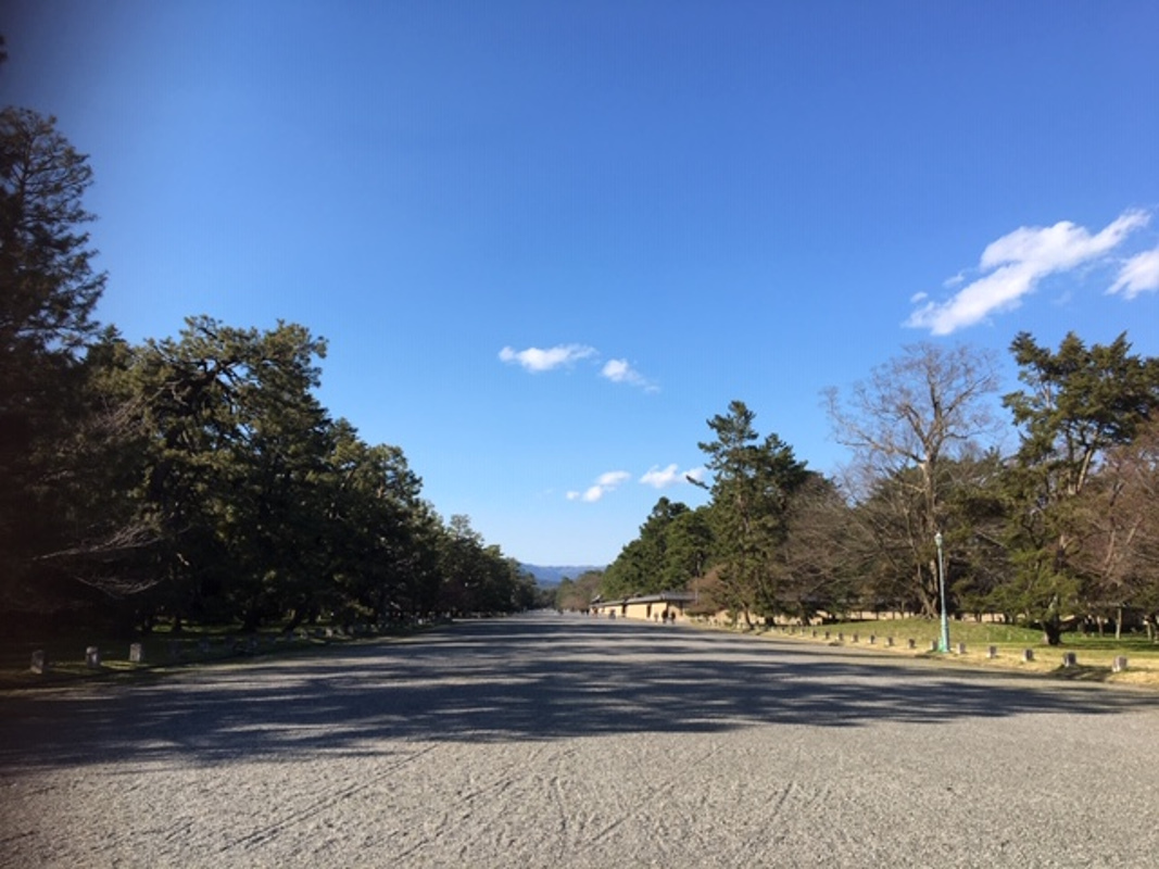 写真4
