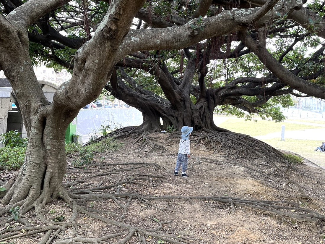 新都心公園