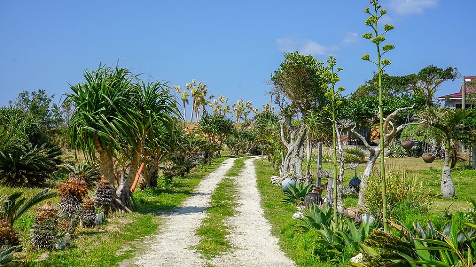「海亀ビーチの宿」イメージ